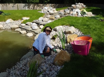  Planting new pond 