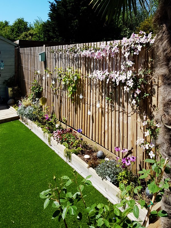  Raised beds and a new fence 