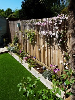  Raised beds and a new fence 