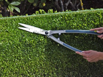  Hedge trimming 